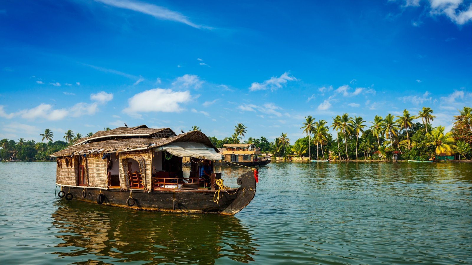 Houseboats on the Kerala backwaters