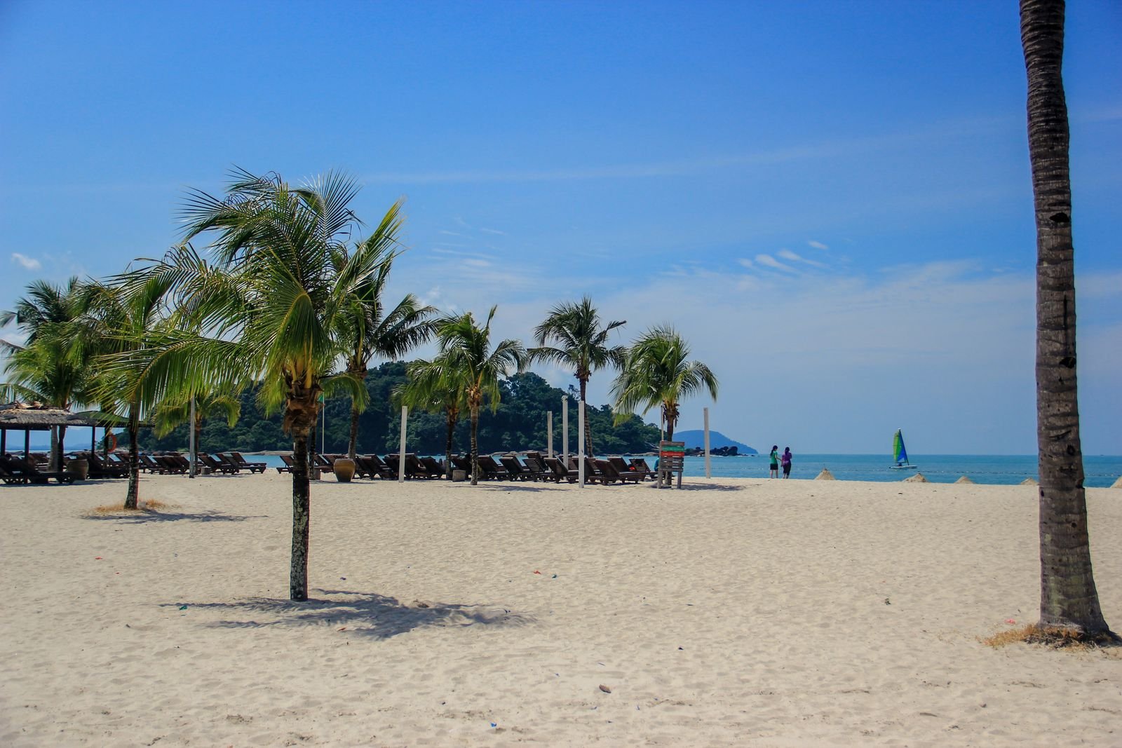 Palm trees beside a beach in Langkawi, Malaysia