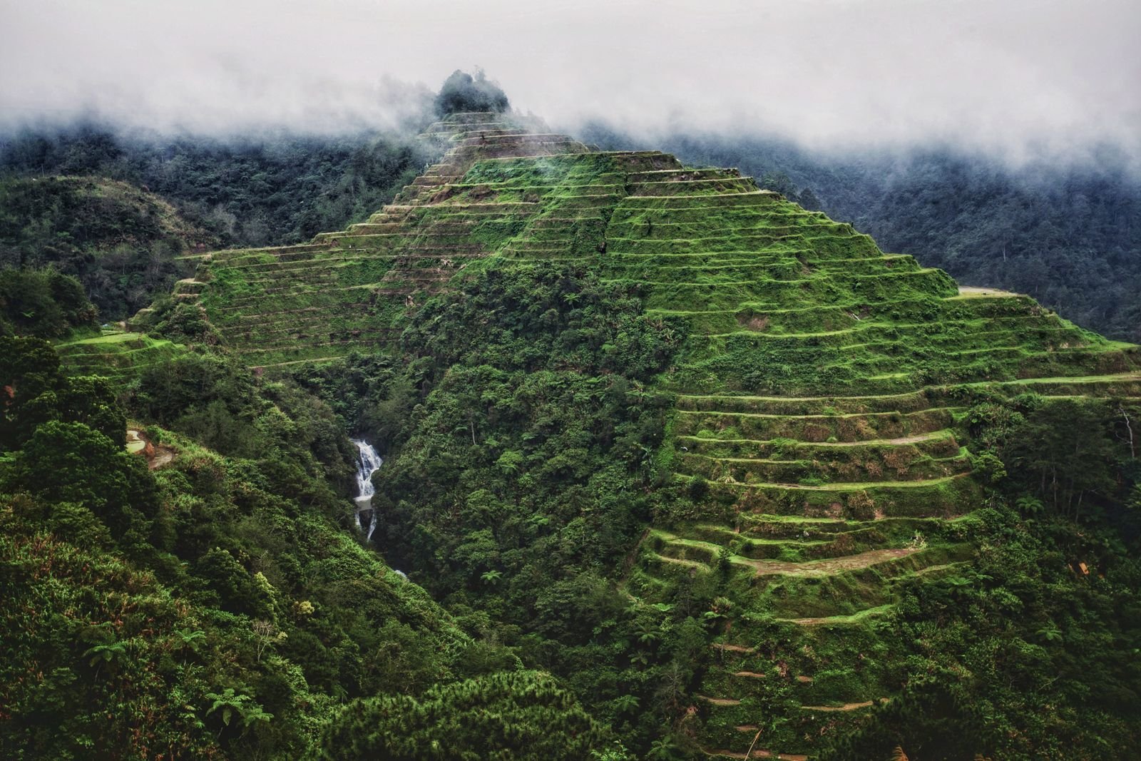 Lush rice terraces in Banaue, Philippines