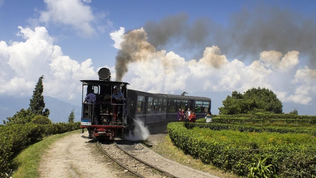A steam train travelling through green tea-growing hills